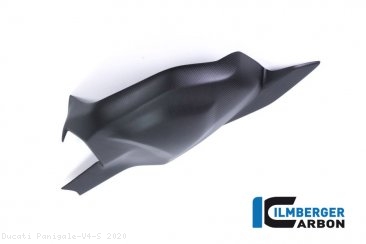 Carbon Fiber Swingarm Cover by Ilmberger Carbon Ducati / Panigale V4 S / 2020