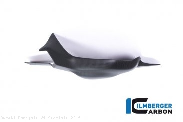 Carbon Fiber Swingarm Cover by Ilmberger Carbon Ducati / Panigale V4 Speciale / 2019