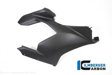 Carbon Fiber Right Side Fairing Panel by Ilmberger Carbon Ducati / Panigale V4 / 2019