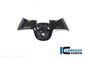 Carbon Fiber Ignition Cover by Ilmberger Carbon Ducati / Panigale V4 S / 2019