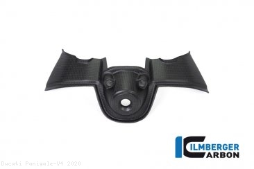 Carbon Fiber Ignition Cover by Ilmberger Carbon Ducati / Panigale V4 / 2020