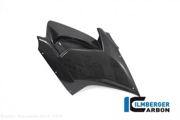 Carbon Fiber Right Side Fairing Panel by Ilmberger Carbon Ducati / Panigale V4 R / 2020