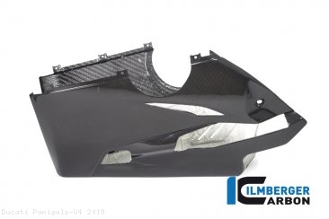 Carbon Fiber Bellypan by Ilmberger Carbon Ducati / Panigale V4 / 2019