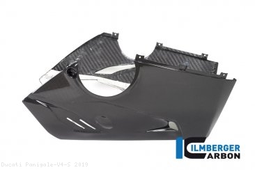 Carbon Fiber Bellypan by Ilmberger Carbon Ducati / Panigale V4 S / 2019