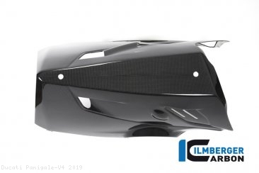 Carbon Fiber Bellypan by Ilmberger Carbon Ducati / Panigale V4 / 2019