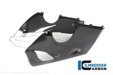 Carbon Fiber Bellypan by Ilmberger Carbon Ducati / Panigale V4 Speciale / 2018