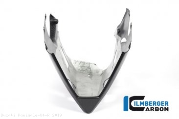 Carbon Fiber Bellypan by Ilmberger Carbon Ducati / Panigale V4 R / 2019