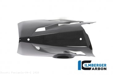 Carbon Fiber Bellypan by Ilmberger Carbon Ducati / Panigale V4 S / 2018