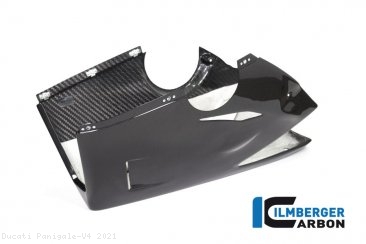 Carbon Fiber RACE VERSION Bellypan by Ilmberger Carbon Ducati / Panigale V4 / 2021