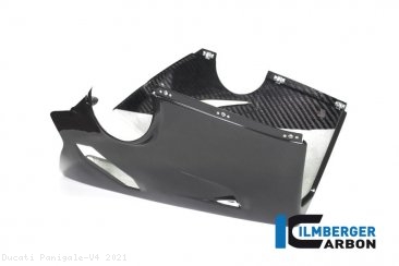 Carbon Fiber RACE VERSION Bellypan by Ilmberger Carbon Ducati / Panigale V4 / 2021