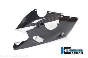 Carbon Fiber RACE VERSION Bellypan by Ilmberger Carbon Ducati / Panigale V4 / 2019