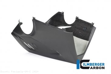 Carbon Fiber Bellypan by Ilmberger Carbon Ducati / Panigale V4 S / 2020