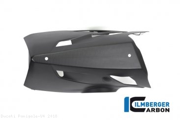 Carbon Fiber Bellypan by Ilmberger Carbon Ducati / Panigale V4 / 2018