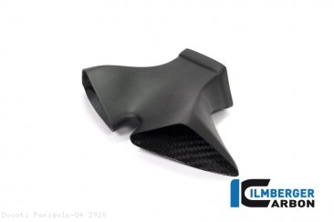 Carbon Fiber RACE VERSION Air Intake by Ilmberger Carbon Ducati / Panigale V4 / 2020