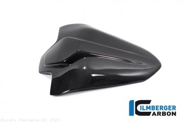  Ducati / Panigale V2 / 2023