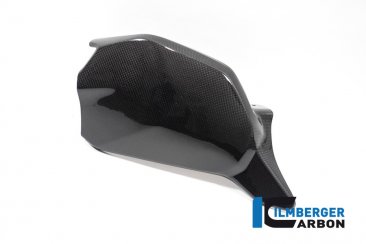 Carbon Fiber Swingarm Cover by Ilmberger Carbon