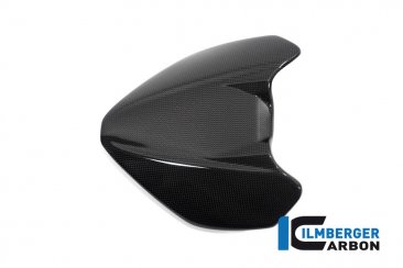 Carbon Fiber Windscreen by Ilmberger Carbon
