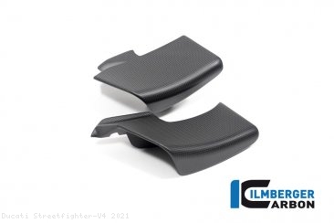 Carbon Fiber Winglet by Ilmberger Carbon Ducati / Streetfighter V4 / 2021
