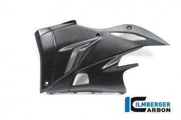 Carbon Fiber LEFT SIDE bellypan by Ilmberger Carbon