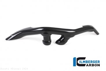 Carbon Fiber Swingarm Cover by Ilmberger Carbon Ducati / XDiavel / 2020