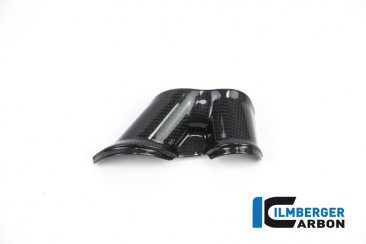 Carbon Fiber Swingarm Cover by Ilmberger Carbon