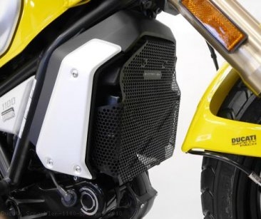 Oil Cooler Guard by Evotech Performance Ducati / Scrambler 1100 Special / 2018