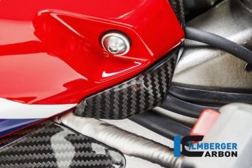 Carbon Fiber Center Tank Cover by Ilmberger Carbon Honda / CBR1000RR SP / 2018