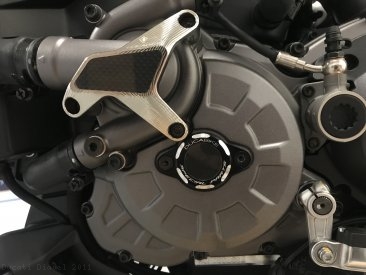Water Pump Guard with Carbon Inlay by Ducabike Ducati / Diavel / 2011