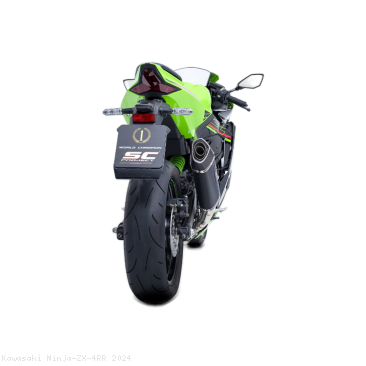  Kawasaki / Ninja ZX-4RR / 2024