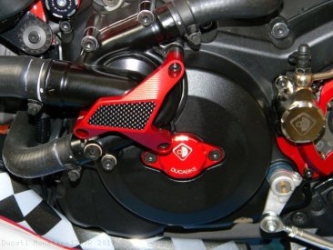 Water Pump Guard with Carbon Inlay by Ducabike Ducati / Monster 1200R / 2019