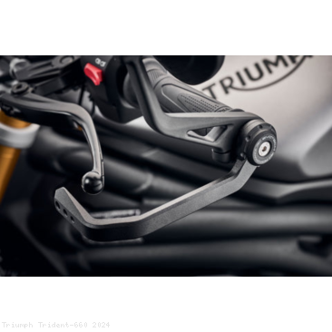  Triumph / Trident 660 / 2024