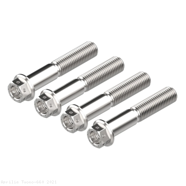 Race Front Caliper Bolt Set by Evotech Performance Aprilia / Tuono 660 / 2021