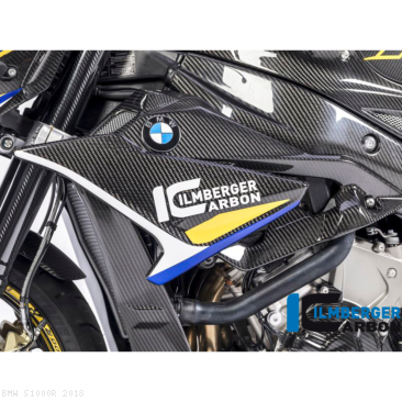  BMW / S1000R / 2018