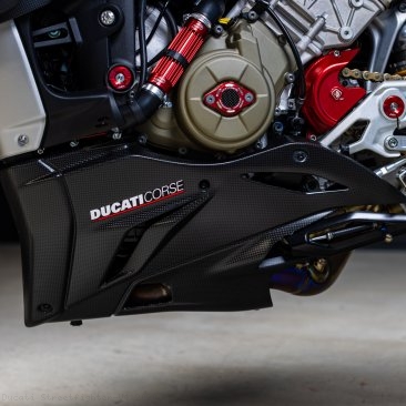  Ducati / Streetfighter V4 / 2020