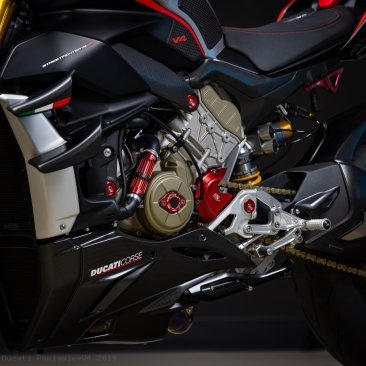  Ducati / Panigale V4 / 2019