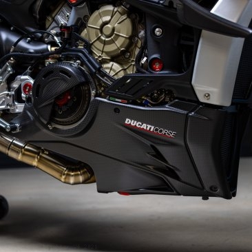  Ducati / Streetfighter V4 / 2021