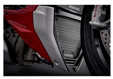 Radiator and Oil Cooler Guard Set by Evotech Performance Ducati / Panigale V4 R / 2019