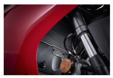  Ducati / 1199 Panigale R / 2015