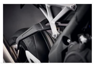  Triumph / Speed Triple 1200 RR / 2024