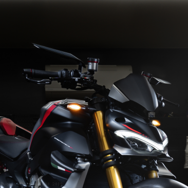  Ducati / Monster 1200 / 2019