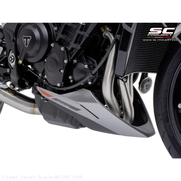  Triumph / Street Triple RS 765 / 2025