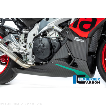  Aprilia / Tuono V4 1100 RR / 2019