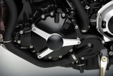 "SHAPE" Engine Guard by Rizoma Triumph / Speed Triple / 2011