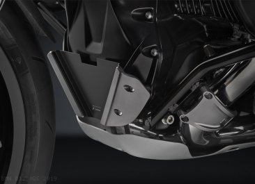 Front Engine Crankcase Guard by Rizoma BMW / R1250GS / 2019