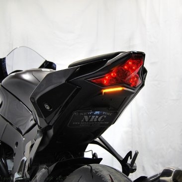  Kawasaki / Ninja ZX-10R / 2020