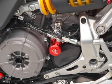  Ducati / Panigale V2 / 2020