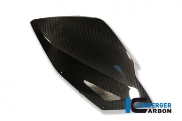 Carbon Fiber Fairing Side Panel by Ilmberger Carbon