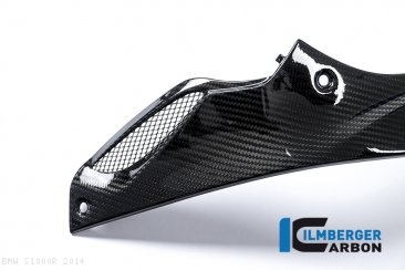Carbon Fiber Left Side Tank Panel by Ilmberger Carbon BMW / S1000R / 2014