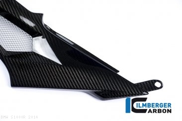 Carbon Fiber Left Side Tank Panel by Ilmberger Carbon BMW / S1000R / 2014