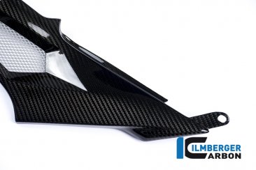 Carbon Fiber Left Side Tank Panel by Ilmberger Carbon